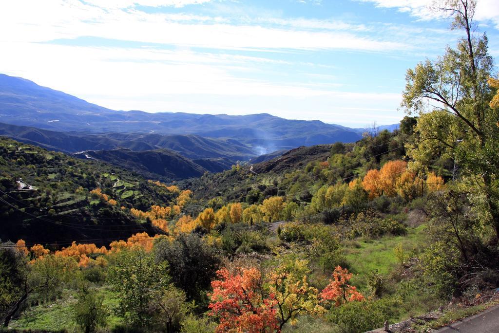 Penzion Cortijo Buena Vista Laroles Pokoj fotografie