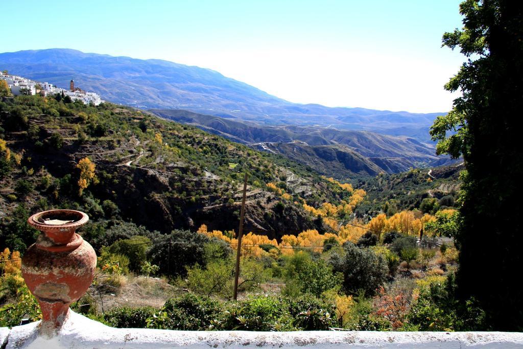 Penzion Cortijo Buena Vista Laroles Exteriér fotografie