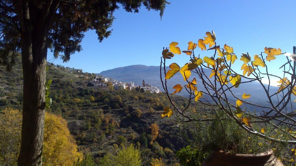 Penzion Cortijo Buena Vista Laroles Exteriér fotografie