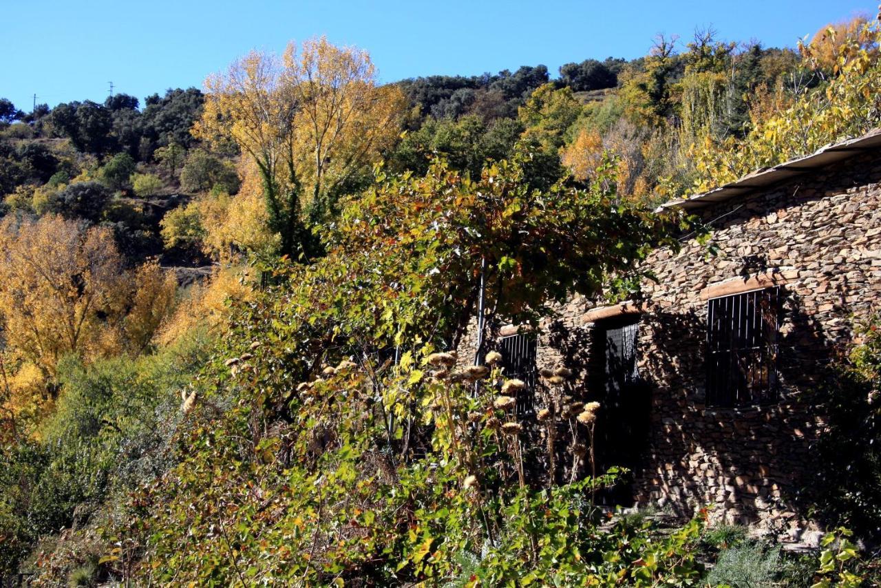 Penzion Cortijo Buena Vista Laroles Exteriér fotografie