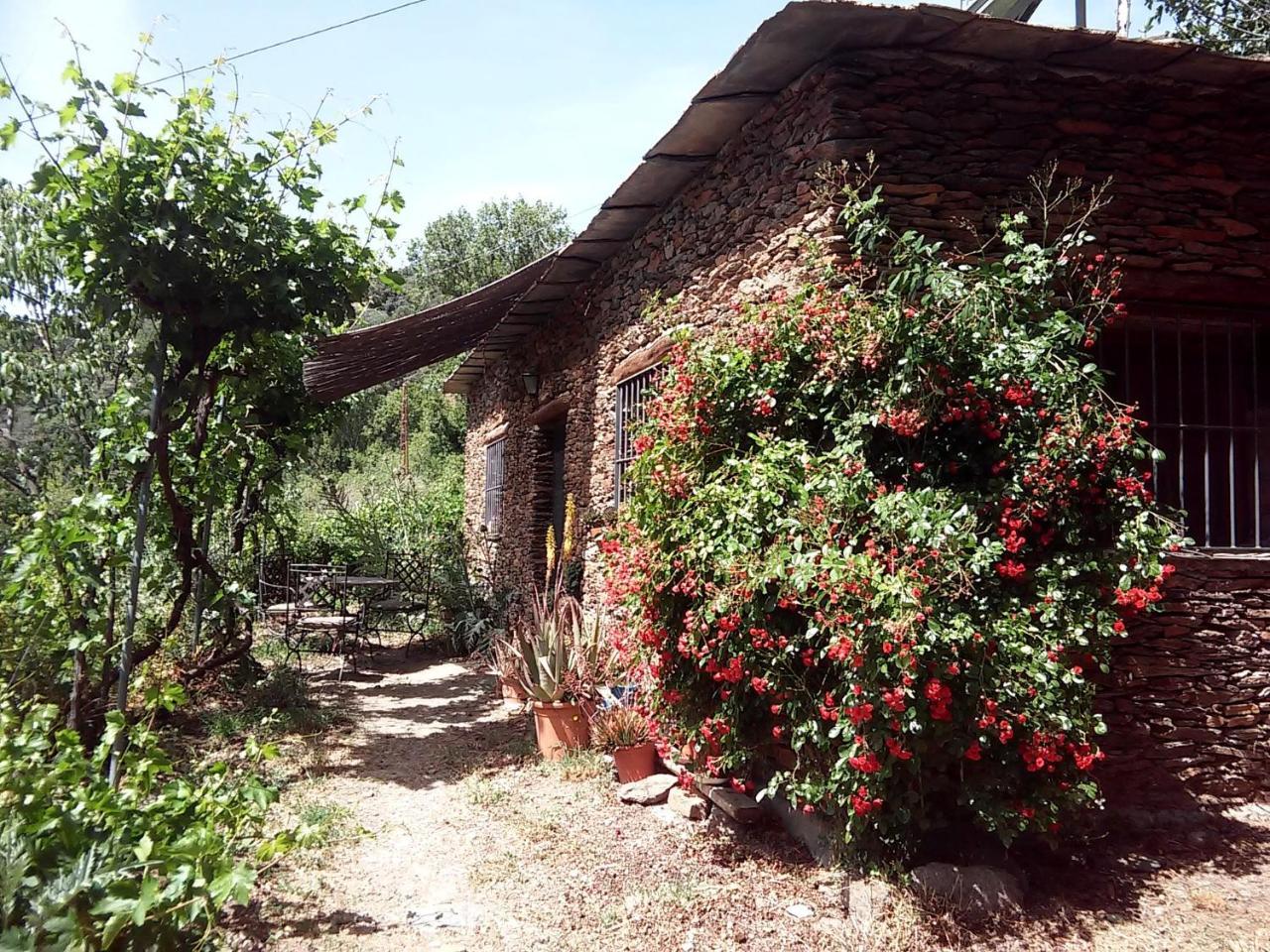 Penzion Cortijo Buena Vista Laroles Exteriér fotografie